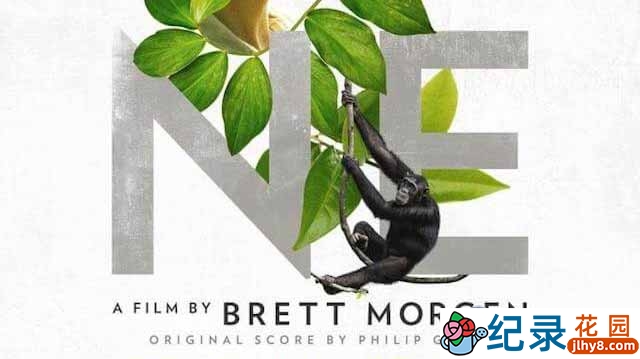 动物保护纪录片《珍 Jane》全1集 720P/1080i高清纪录片资源百度云盘下载