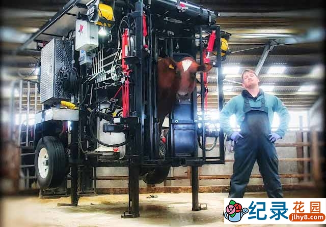 解压治愈纪录片《修剪牛蹄》第2季中字 1080高清纪录片解说素材百度云盘下载