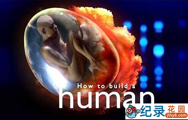 BBC人体基因纪录片《制造新人类 How to Build A Human》全4集 标清纪录片资源百度云盘下载