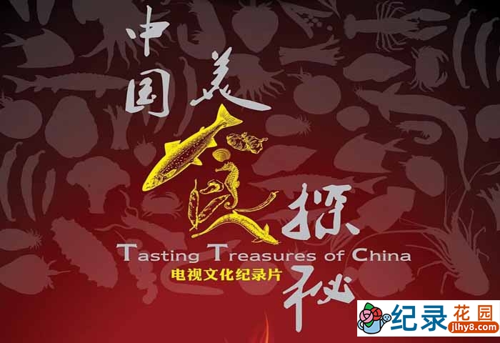 美食文化纪录片《中国美食探秘》全8集 标清纪录片资源百度云盘下载