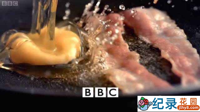 BBC美食文化纪录片《烹饪造就人类吗 Did Cooking Make Us Human》全1集 标清纪录片资源百度云盘下载