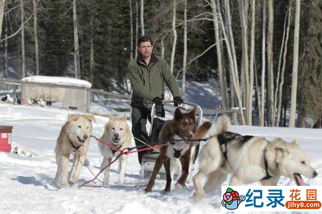 探索频道荒野求生纪录片《阿拉斯加最偏乡 Edge Of Alaska》第4季 720P/1080i高清纪录片百度云