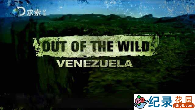 探索频道荒野求生纪录片《委内瑞拉求生实验 Out Of The Wild Venezuela》全8集 720P/1080i高清纪录片百度云