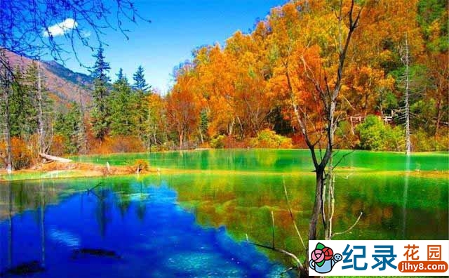 音乐风光纪录片《实境之旅:九寨沟 Virtual Trip JiuZhaiGou》全1集 720P/1080i高清纪录片百度云下载