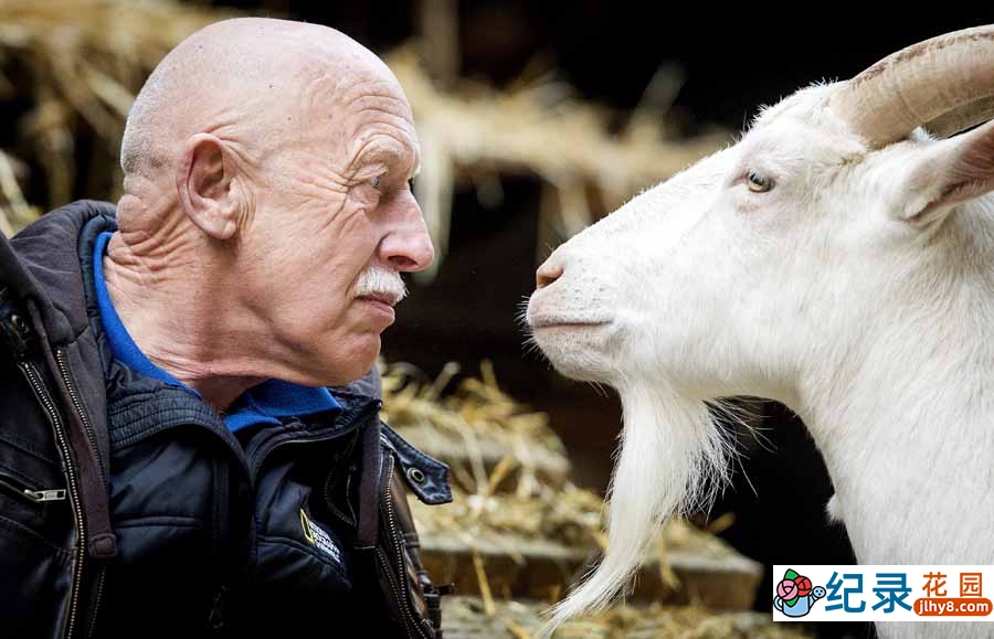 国家地理妙手兽医纪录片《动物神医 The Incredible Dr.Pol》第15季全11集中字 纪录片解说素材百度云盘下载 720/MKV/12.5G