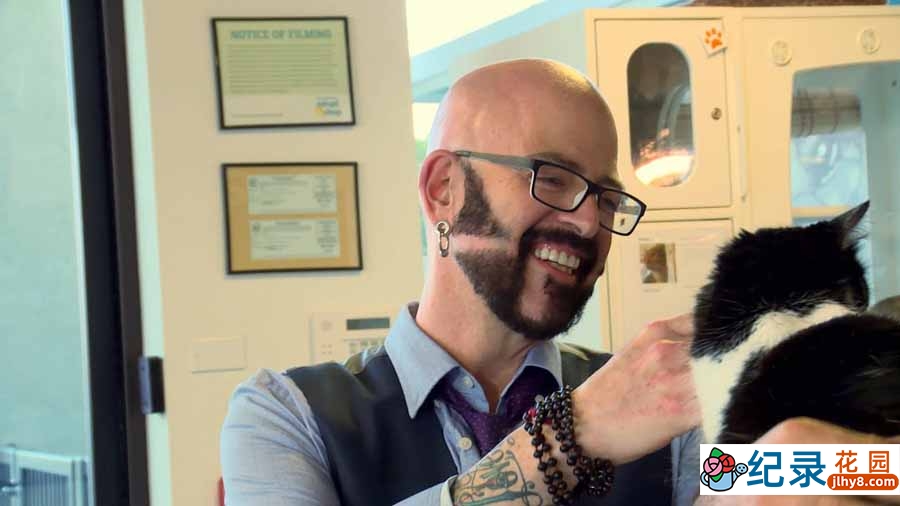 管教恶猫纪录片《金牌训猫师》第3季全9集中字 纪录片解说素材百度云盘下载 1080P/MP4/22.4G