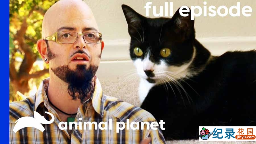 管教恶猫纪录片《金牌训猫师》第5季全10集中字 纪录片解说素材百度云盘下载 1080P/MP4/24.4G