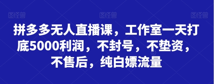 拼多多无人直播课，工作室一天打底5000利润，不封号，不垫资，不售后，纯白嫖流量