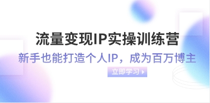 流量变现-IP实操训练营：新手也能打造个人IP，成为百万 博主（46节课）