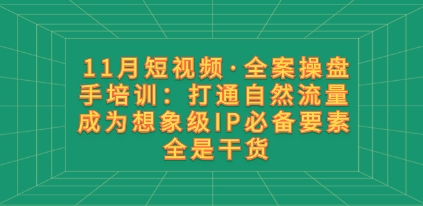 11月短视频·全案操盘手培训：打通自然流量 成为想象级IP必备要素 全是干货
