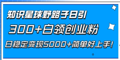 知识星球野路子日引300+白领创业粉，日稳定变现5000+简单好上手！