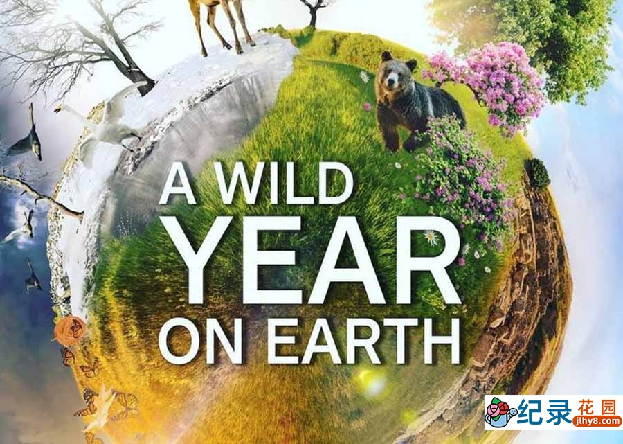 BBC自然生态纪录片《狂野地球 A Wild Year on Earth》全6集中字 纪录片资源百度云盘下载 4K/MKV/20.5G
