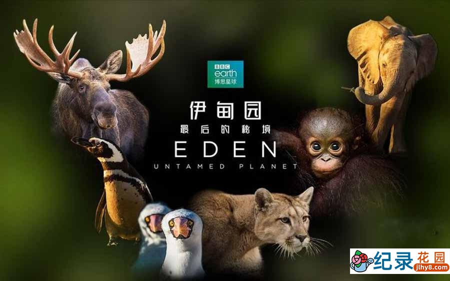 BBC自然生态纪录片《伊甸园 最后的秘境 Eden: Untamed Planet》全6集中字 纪录片资源百度云盘下载 4K/MP4/31.3G