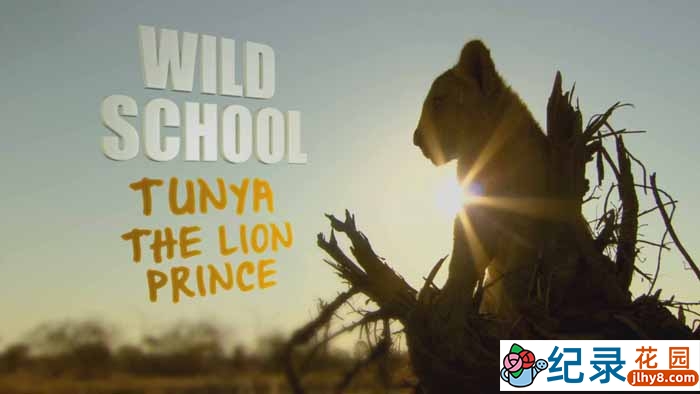 BBC南美自然生态纪录片《野蛮学校 Wild School》全6集中字 TS/蓝光高清纪录片资源百度云盘下载