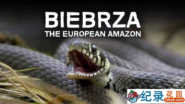 央视自然生态纪录片《别布扎河：欧洲的亚马孙》全1集 TS/蓝光高清纪录片资源百度云盘下载