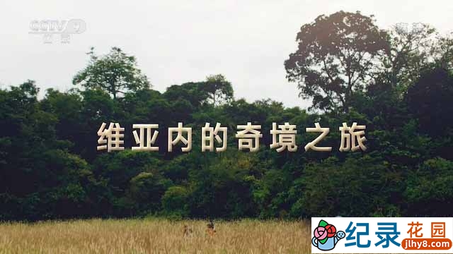 央视自然生态纪录片《维亚内的奇境之旅》全1集 TS/蓝光高清纪录片资源百度云盘下载
