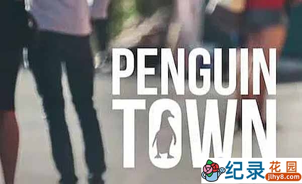 Netflix自然生态纪录片《企鹅小镇 Penguin Town》全8集中字 720P/1080i高清纪录片资源百度云盘下载