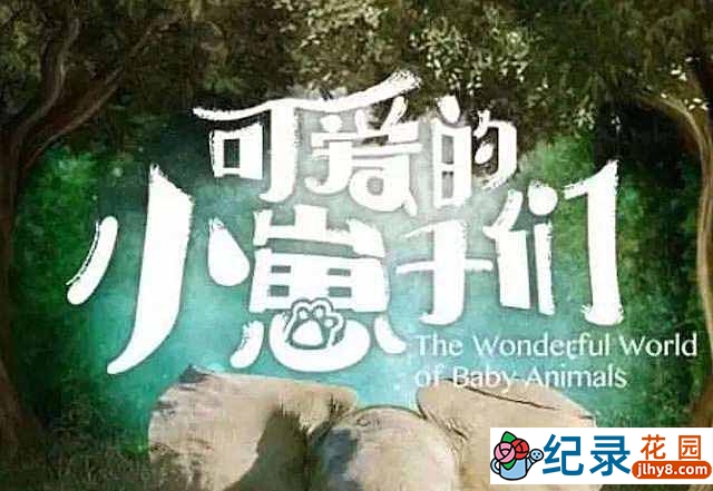 BBC自然生物纪录片《可爱的小崽子们 The Wonderful World of Baby Animals》全6集 720P/1080i高清纪录片资源百度云盘下载