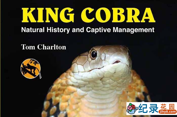 国家地理自然生物纪录片《眼镜王蛇 King Cobra》全1集 720P/1080i高清纪录片资源百度云盘下载