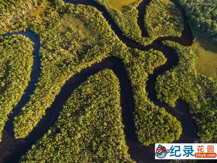 国家地理自然生态纪录片《探索亚马逊 Journey Into Amazonia》全3集 720P/1080i高清纪录片资源百度云盘下载