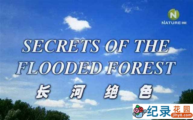 多瑙河自然生态纪录片《泛滥森林的秘密 / 长河绝色 Secrets of the Flooded Forest》全1集 720P/1080i高清纪录片资源百度云盘下载