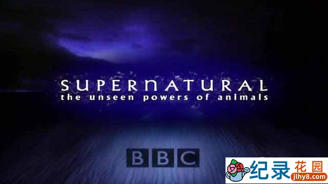 BBC生命探索纪录片《超自然力量：探索自然界的神奇力量 Supernatural The Unseen Powers of Animals》全6集 标清纪录片百度云下载