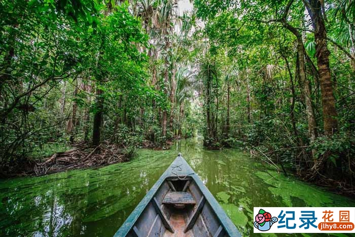 探索频道自然生态纪录片《拉美野生大地 Wildest Latin America》全5集 720P/1080i高清纪录片百度云