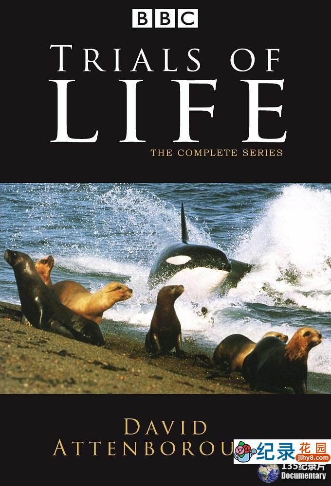 BBC自然生态纪录片《生命之源 The Trials of Life》全12集 720P/1080i高清纪录片百度云