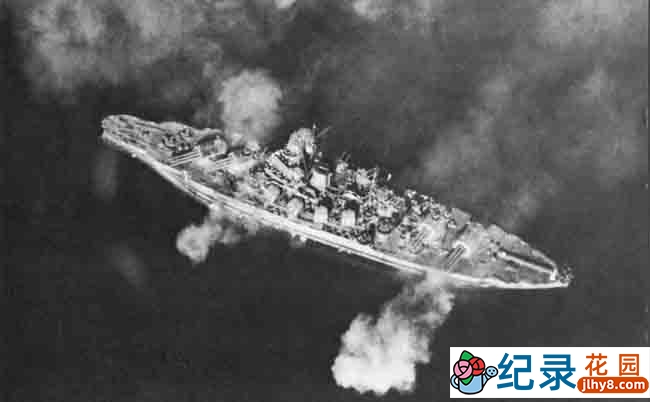 BBC自然生态纪录片《狩猎/猎捕 The Hunt》全7集 720P/1080i高清纪录片百度云