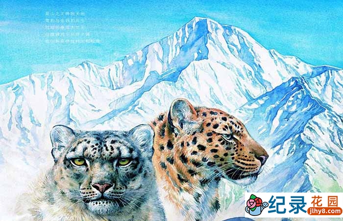 自然地理纪录片《蜀山之王》全1集 纪录片资源百度云盘下载 1080/TS/1.39G