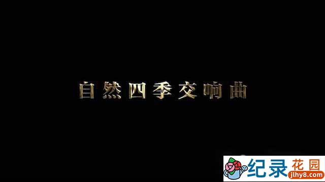 央视自然生态纪录片《自然四季交响曲》全1集 TS/蓝光高清纪录片资源百度云盘下载
