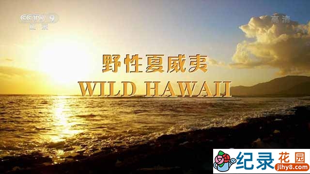 央视自然生态纪录片《野性夏威夷 Wild Hawaii》全1集 TS/蓝光高清纪录片资源百度云盘下载