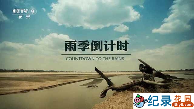 BBC自然生态纪录片《雨季倒计时 Countdown to the Rains》全3集中字 TS/蓝光高清纪录片资源百度云盘下载