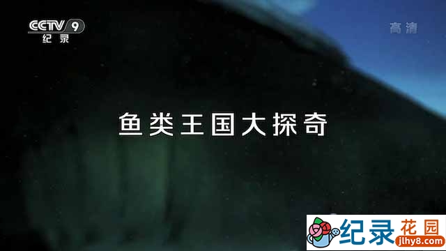 央视自然生物纪录片《鱼类王国大探奇》全1集 TS/蓝光高清纪录片资源百度云盘下载