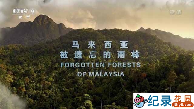 央视自然生态纪录片《马来西亚被遗忘的雨林 Forgotten Forests of Malaysia》全1集 TS/蓝光高清纪录片资源百度云盘下载
