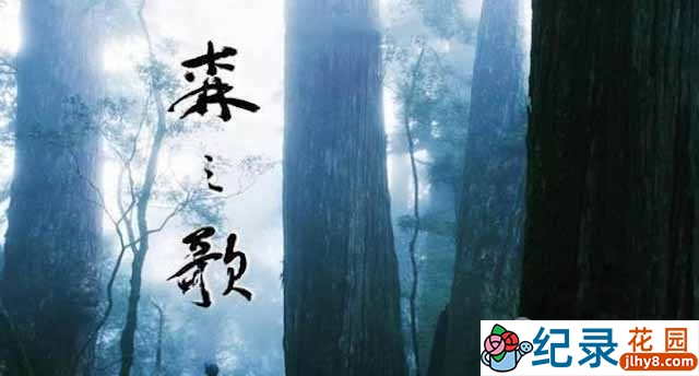PTS自然生态纪录片《森之歌 Song of the Forest》全1集中字 720P/1080i高清纪录片资源百度云盘下载
