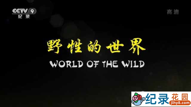 央视自然生态纪录片《野性的世界 World of the Wild》全6集中字 TS/蓝光高清纪录片资源百度云盘下载