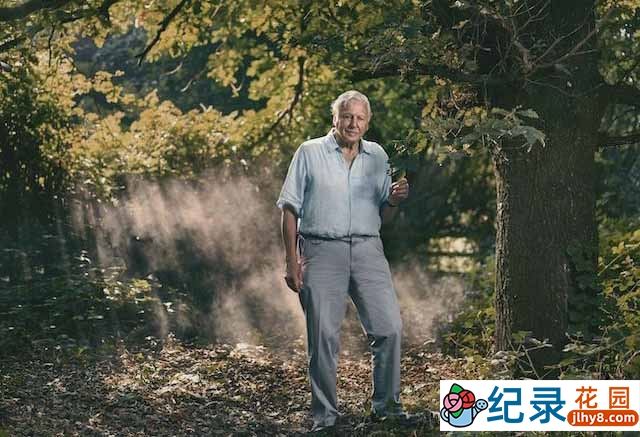 BBC自然生物纪录片《灭绝的真相 Extinction: The Facts》全1集中字 720P/1080i高清纪录片资源百度云盘下载