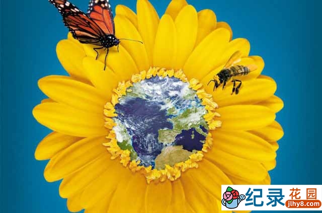 迪士尼自然生态纪录片《隐蔽之美：孕育地球的爱的故事 Naked Beauty: A Love Story that Feeds the Earth》全1集中字 720P/1080i高清纪录片资源百度云盘下载