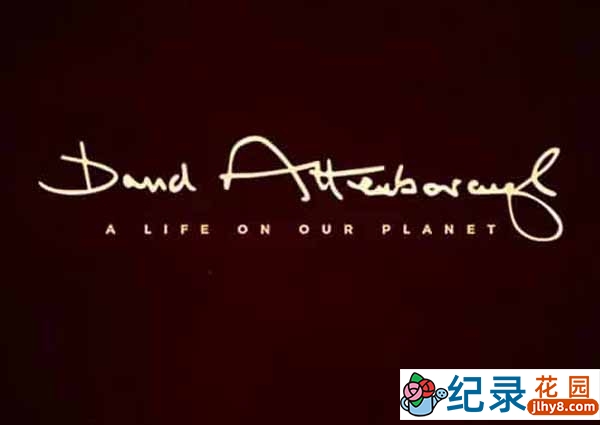 Netflix自然生态纪录片《大卫·爱登堡：地球上的一段生命旅程 David Attenborough: A Life on Our Planet》全1集 720P/1080i高清纪录片资源百度云盘下载