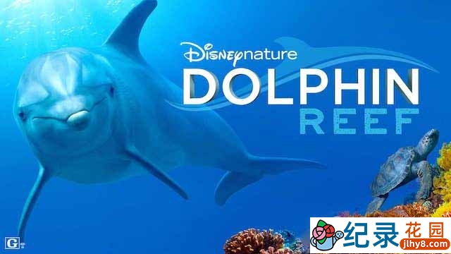 迪士尼自然生态纪录片《海豚礁 Dolphin Reef》全1集 720P/1080i高清纪录片资源百度云盘下载