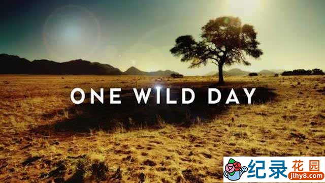 PTS自然生态纪录片《野外的一天 One Wild Day》全3集 720P/1080i高清纪录片资源百度云盘下载