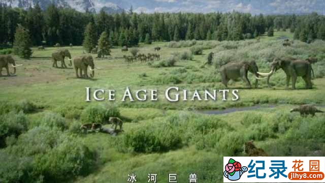 BBC史前生物纪录片《冰河巨兽 Ice Age Giants》全3集 TS/蓝光高清纪录片百度云下载