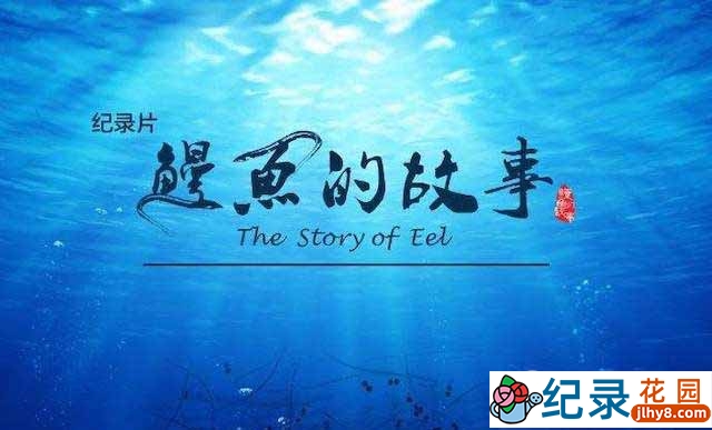 央视生物研究纪录片《鳗鱼的故事 The Story of Eel》全3集 TS/蓝光高清纪录片资源百度云盘下载