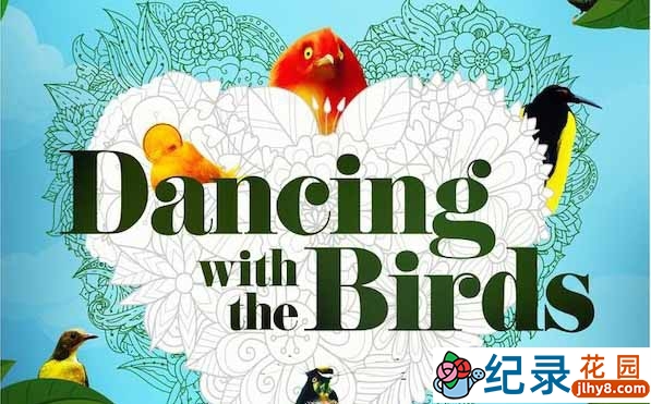 Netflix极乐鸟研究纪录片《与雀共舞 Dancing with the Birds》全1集 720P/1080i高清纪录片资源百度云盘下载