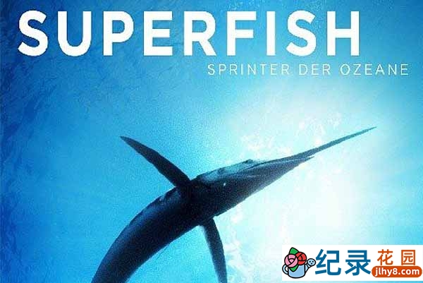 PBS海洋生态纪录片《超级鱼类 Superfish》全1集 720P/1080i高清纪录片资源百度云盘下载