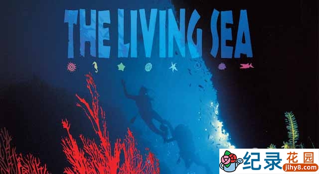 IMAX海洋生态纪录片《生命海洋 The Living Sea》全1集 720P/1080i高清纪录片资源百度云盘下载