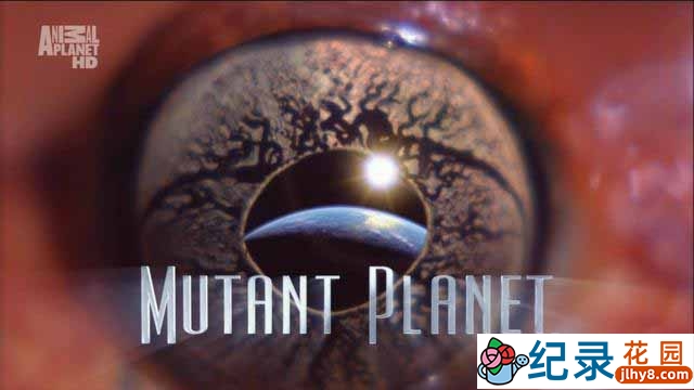 探索频道生命探索纪录片《变异星球 Mutant Planet》全6集 720P/1080i高清纪录片百度云下载