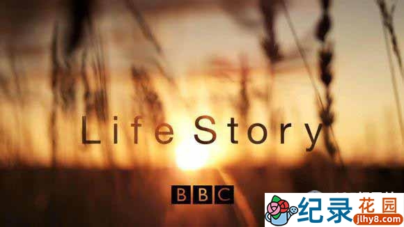 BBC生命探索纪录片《生命的故事/生命礼赞 Life Story》全6集 720P/1080i高清纪录片百度云下载