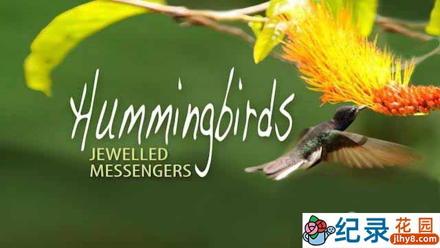 生命探索纪录片《蜂鸟信使 Hummingbirds Jewelled Messengers》全1集 720P/1080i高清纪录片百度云下载
